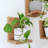 Mid-Century Modern Floating Shelves 3-Pack | Solid Wood L-Shaped Plant Ledges | Wall Mounted Display Shelves For Home Decor