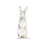 «Cute Rabbit» par Patricia Pinto - reproduction d'art-52818685-52818686-52818700