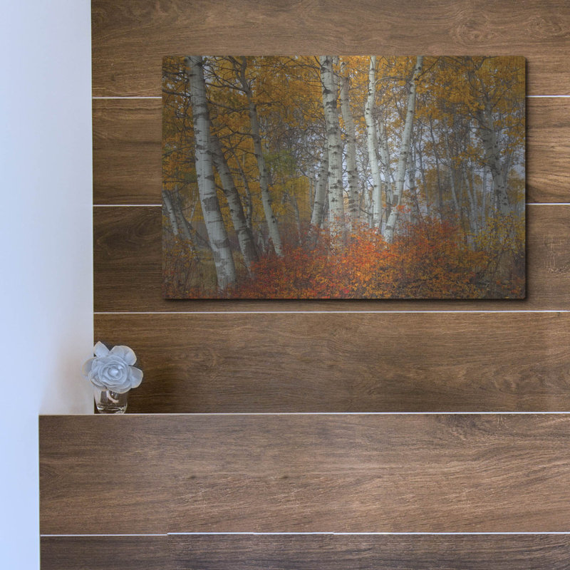 "Morning Aspens" par Jesse Estes, H 12 po x l 16 po