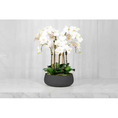 Silk Orchid Centerpiece Arrangement