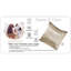 Aspinwall Square Cushion Cover-1016494873