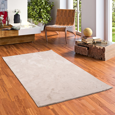 Odonnell Solid Colour Shag Area Rug