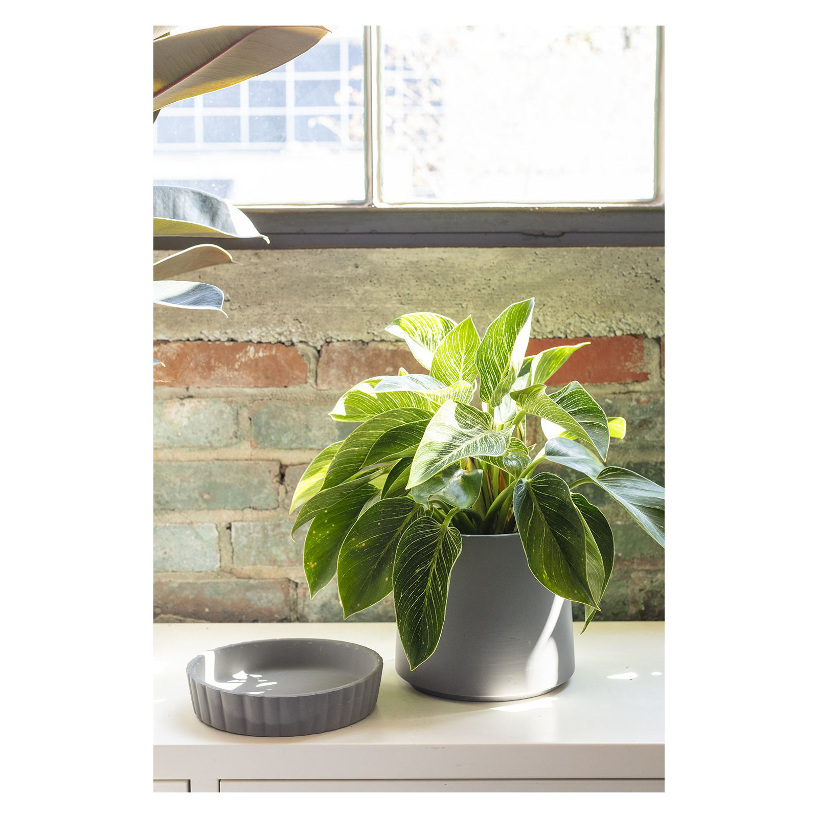 Millstone Handmade Ceramic Pot Planter, Gray, 7.75" H x 7.75" W x 7.75" D