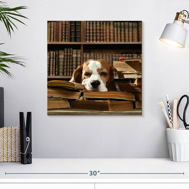 Brampt Dog And Books, 16" H x 16" W