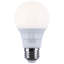 6 Watt White LED Bulb