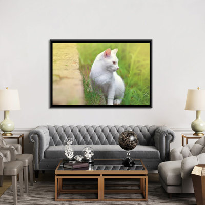 « White Cat 61 » par Ben Heine-reproduction de photo