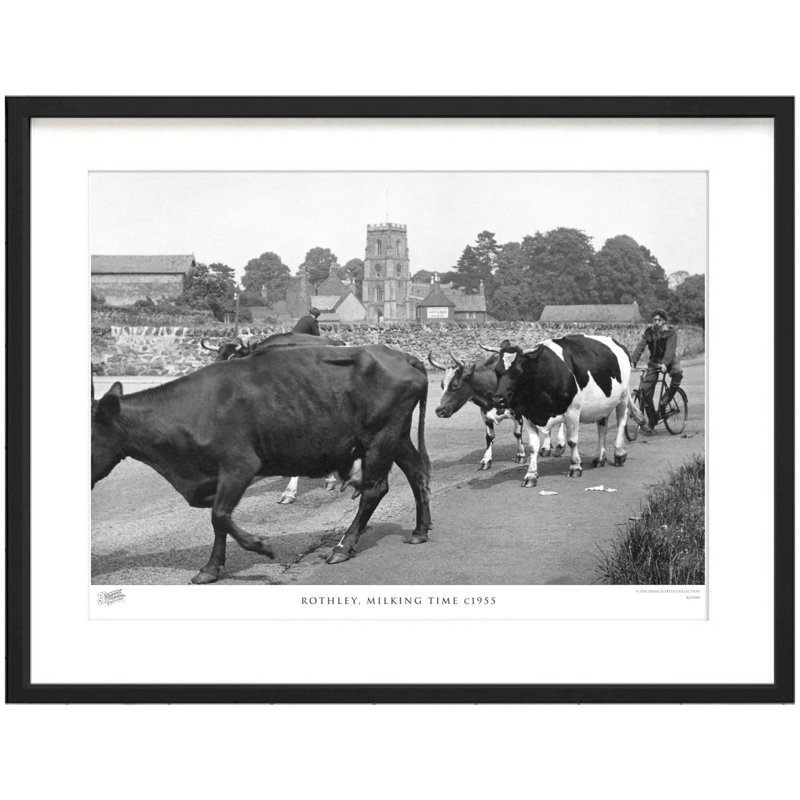 Rothley, Milking Time C1955 - Single Picture Frame Print, 63.3cm H x 83.5cm W x 2.3cm D