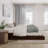 Lamariah Solid Wood Platform Bed with Matching Trundle-1461921408-1461921414
