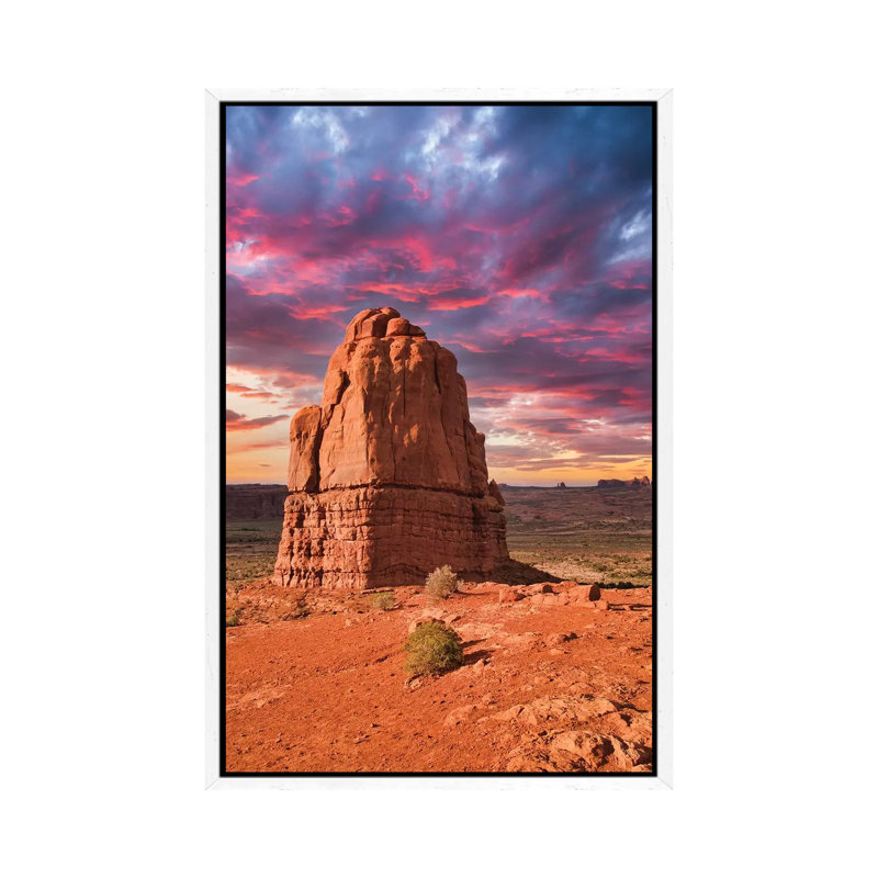 Desert Beauty by Mark Paulda - Print on Canvas, 66.04cm H x 45.72cm W x 3.81cm D, White Floater Framed