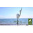 34'' H Metal Nautical & Beach Weathervane
