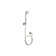 Bellis® Single Function Handshower and Hose with 2.0 GPM