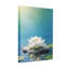 Bain et lessive lotus blanc sur pierre dans l'eau-203177211