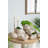 11.5X7x7" Sand And Cement Nautilus Shell Planter With Textured Beige Finish