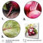 Légume pointillisme cramoisi Radicchio-728359921-728359924
