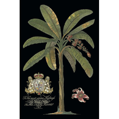 Palm On Black II - Wrapped Canvas Art Prints