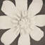 « céramique fleur », impression encadrée