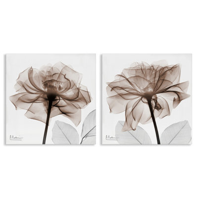 Ensemble de 2 toiles translucides roses en fleurs, design par Albert Koetsier