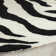 Schell Animal Print Wool Area Rug