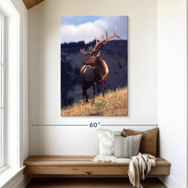Wapiti de Brampt dans le Montana, H 48 po x l 32 po
