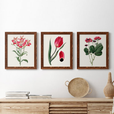 Roseat Blooms I - ensemble de 3 peintures sur toile encadrées