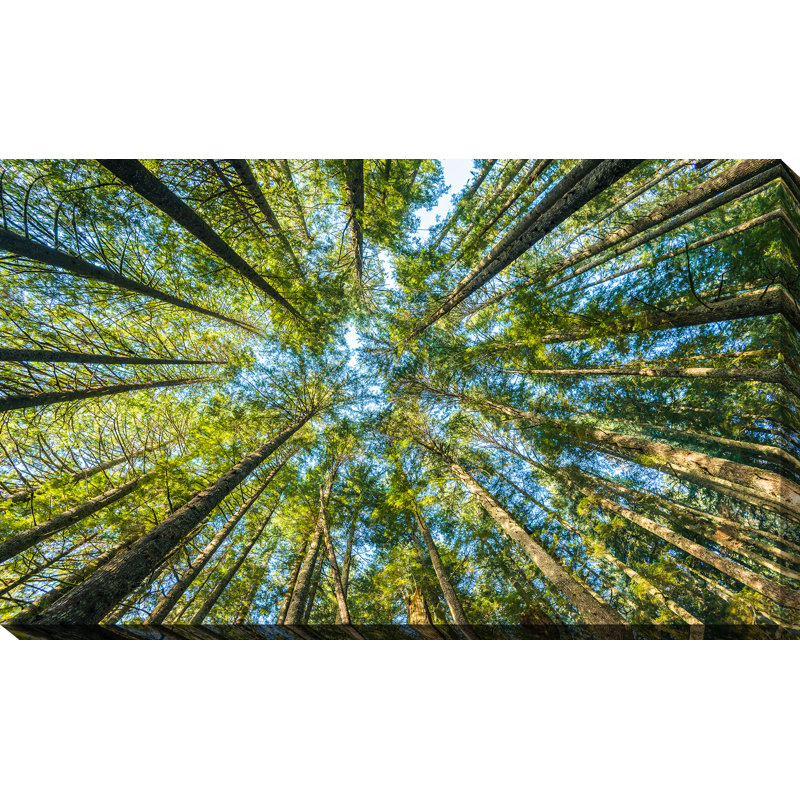 « infinity », reproduction de photo sur toile tendue, H 28 po x l 48 po x P 1,5 po