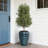 Coastal Ceramic Planter, Glossy Blue Teal Ceramic with Textured Scale Design