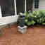 Customer photo 2 of 4