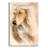 " Afgan Hound " by Barbara Keith-1515031274