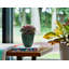 Jardinière intérieure / extérieure en plastique recyclé Dayton avec soucoupe attachée-1262089973-1215370455