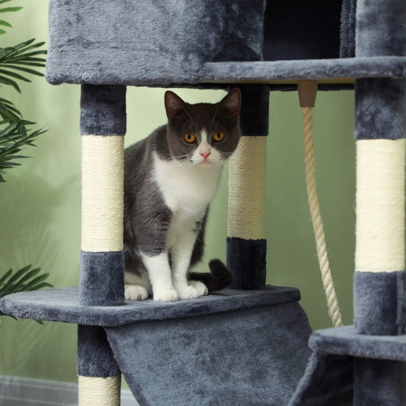 206 cm H Cat Tree / Condo
