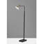 Lampe sur pied arquée à DEL 54 po Kodi