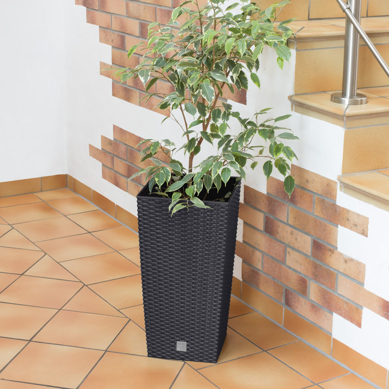 Petty Pot Planter, Anthracite, 75cm H x 40cm W x 40cm D