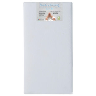 2 Stage Standard Crib/Toddler Rectangle Mattress