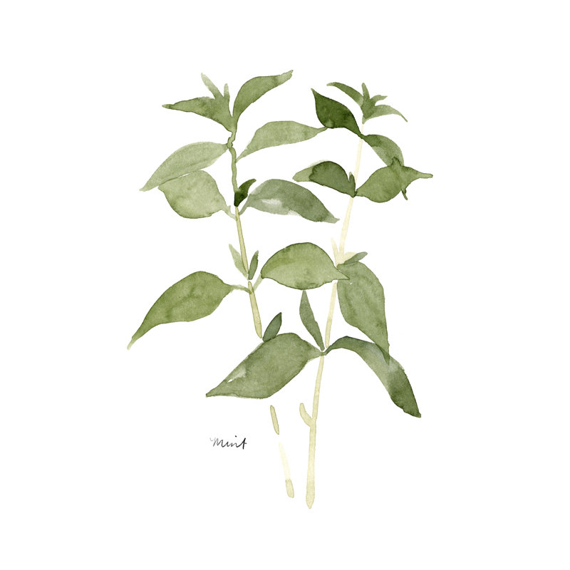 Herb Garden Sketches I by Emma Scarvey - Painting, 122cm H x 81cm W, Wrapped Canvas