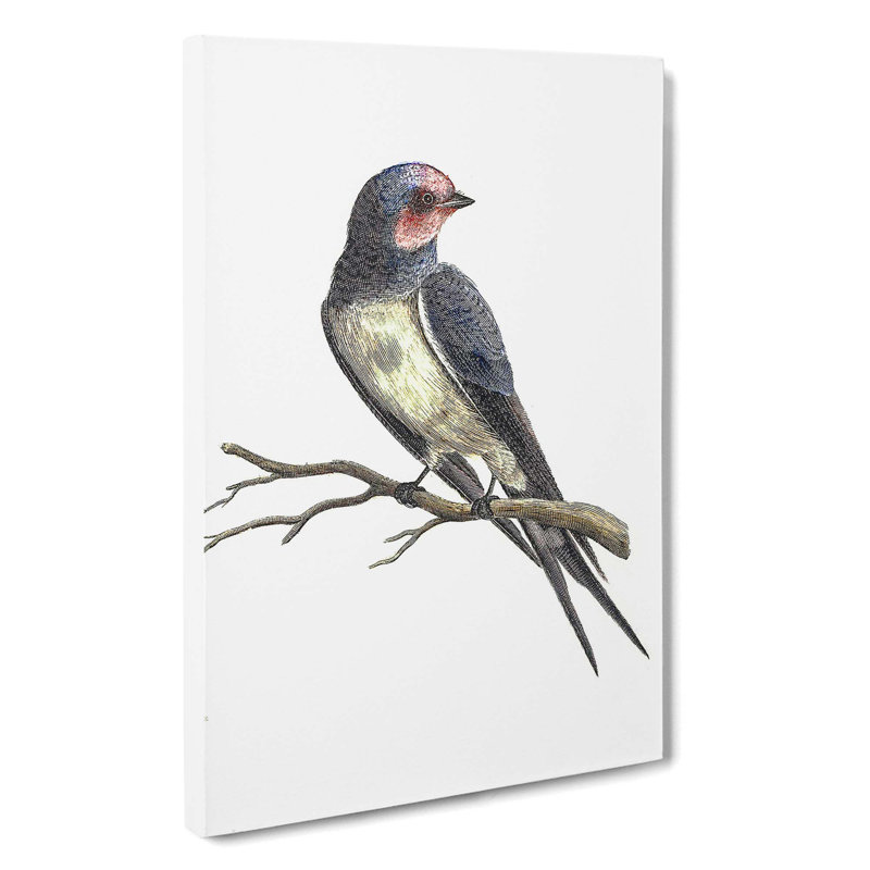 Swallow by Johan Teyler - Wrapped Canvas, 60cm H x 40cm W x 3cm D