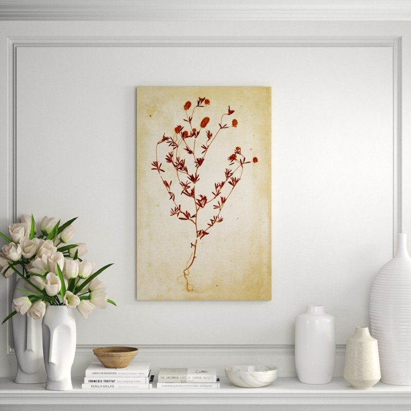 Pressed Flowers V Print by Michelle Bennett, 28" H x 24" W, Outdoor