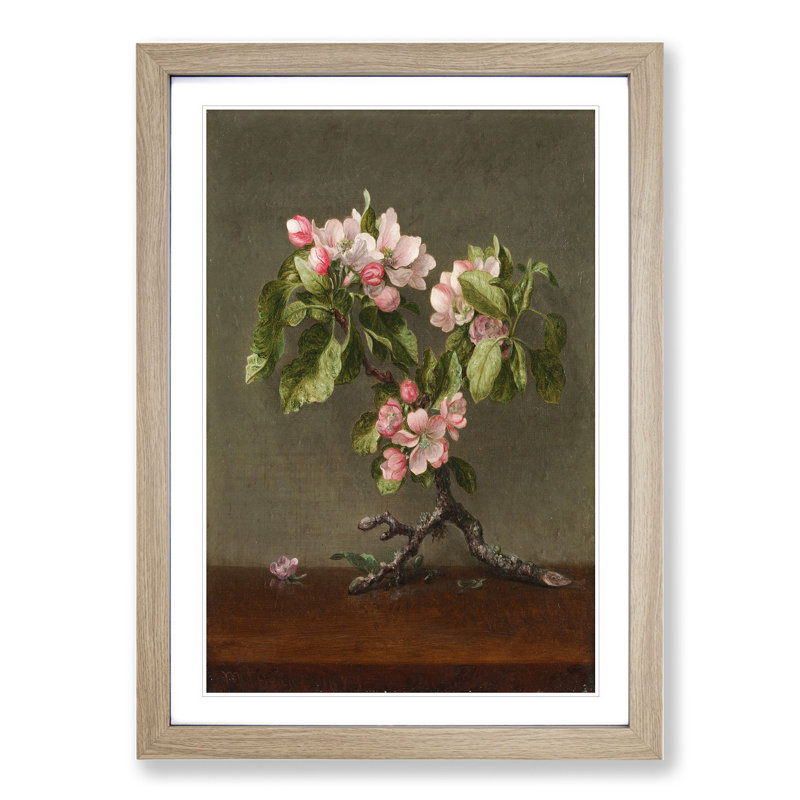 Apple Blossom Flowers by Martin Johnson Heade - Picture Frame Painting, Oak Framed, 36cm H x 27cm W x 2cm D