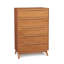Catalina 5 - Drawer Solid Wood Dresser-24674759
