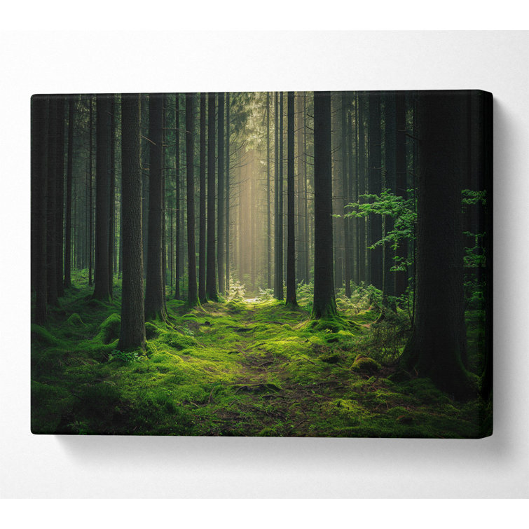 No Frame Print on Canvas