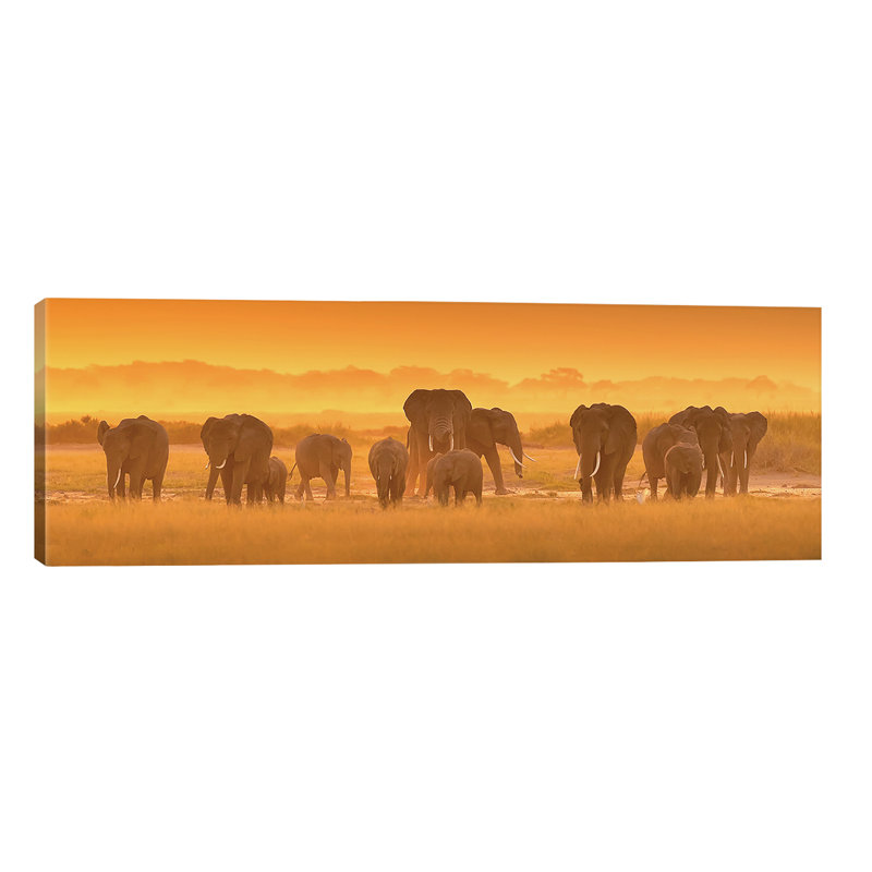 Golden Light by David Hua - Wrapped Canvas Panoramic Print, 121.92 cm H x 40.64 cm W x 1.91 cm D