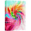 Rainbow-101469509