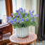 Arrangement de bébé en pot-887932957