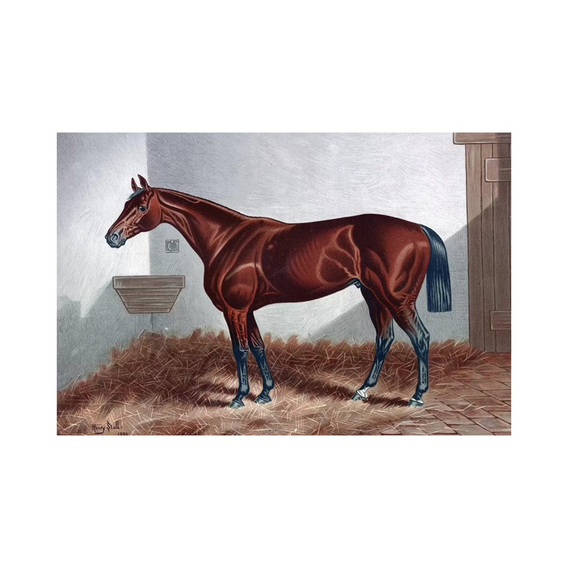 Horse II by PatentPrintStore - Wrapped Canvas Print, 20.32 cm H x 30.48 cm W