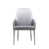 Gray/Silver