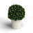 Travers Boxwood Topiary in Terracotta Pot-808365223