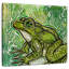 Petite grenouille ronce-109206663