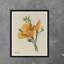 Yellow Petals Print