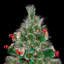 Fibre Optic Artificial Christmas Tree with Berries and Pine Cones-43242220