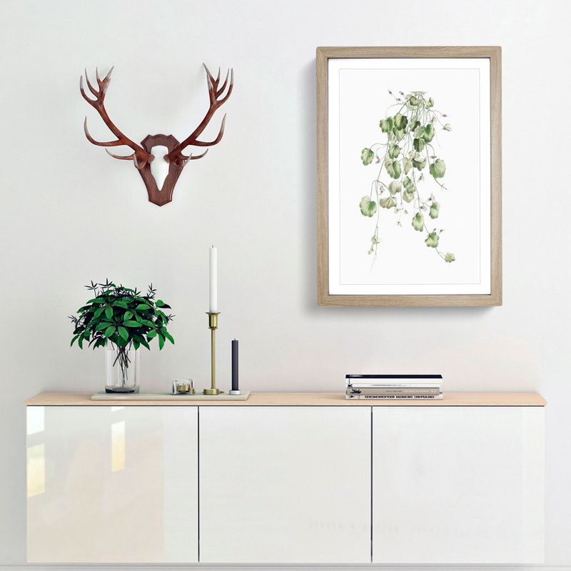 Kenilworth Ivy Flowers by Pierre-Joseph Redoute - Picture Frame Graphic Art Print, 36cm H x 27cm W x 2cm D, Oak Framed