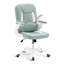 Chaise de bureau à domicile-1962079919-1962079918